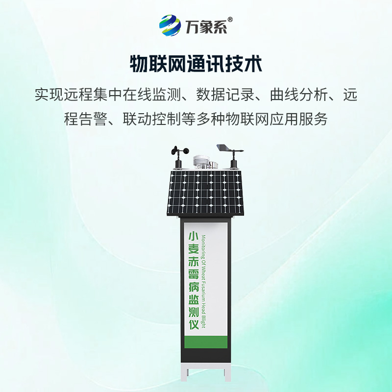 小麥赤霉病監測儀，如何搶占防控先機？