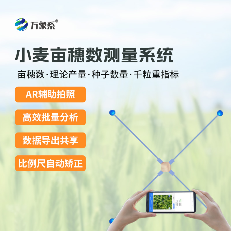 小麥畝穗數測量系統:麥田里的